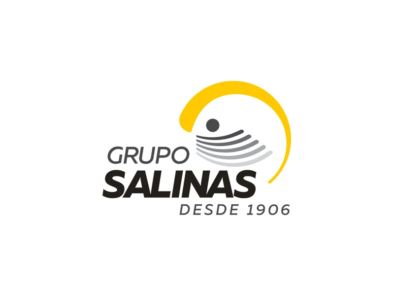 grupo_salinas
